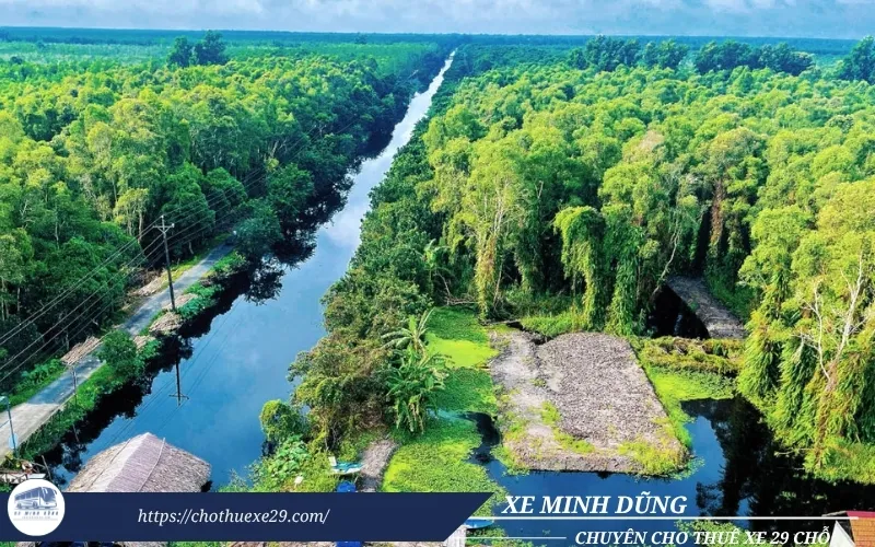 Cho thuê xe 29 chỗ đi Cà Mau tại TPHCM 29 Thuê xe đi Cà Mau tham quan Rừng U Minh Hạ