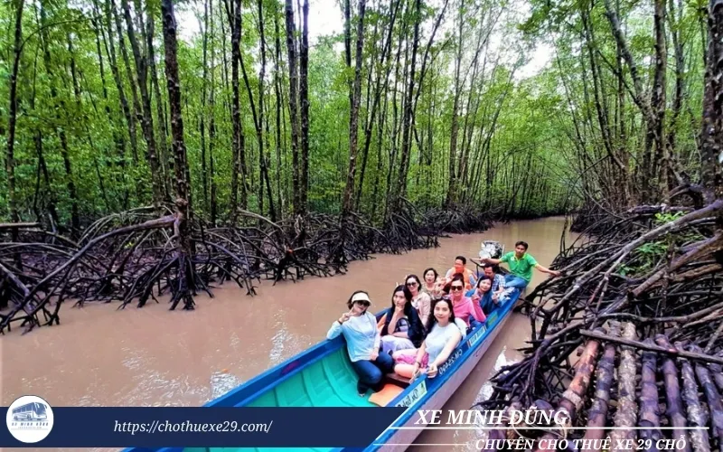 Cho thuê xe 29 chỗ đi Cà Mau tại TPHCM 37 Thuê xe đi Cà Mau tham quan Rừng đước Năm Căn