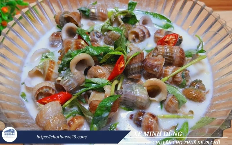 Cho thuê xe 29 chỗ đi Cà Mau tại TPHCM 45 Thuê xe đi Cà Mau thưởng thức Ốc len xào dừa