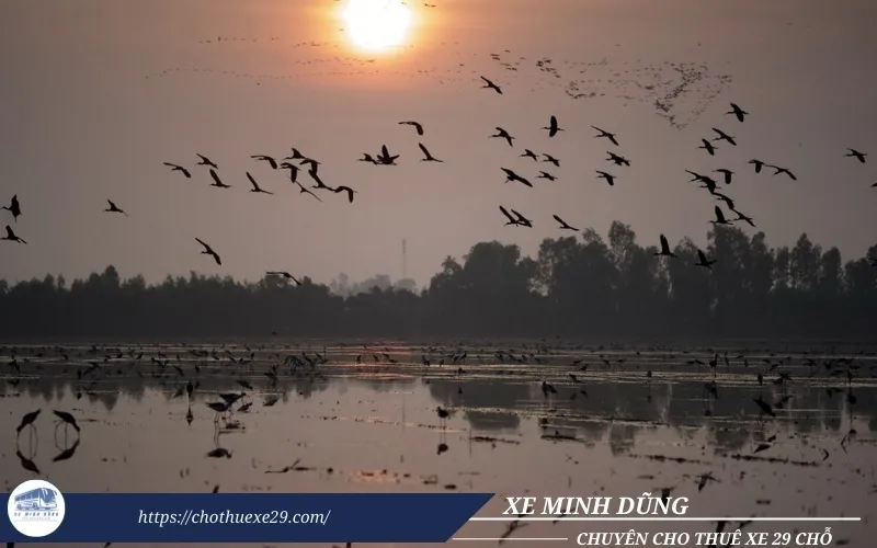 Thuê xe 29 chỗ đi Đồng Tháp tham quan Vườn Quốc gia Tràm Chim